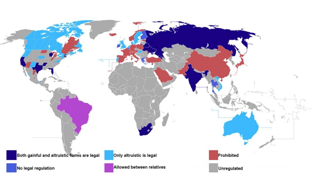 карта мира законов о суррогатном материнстве